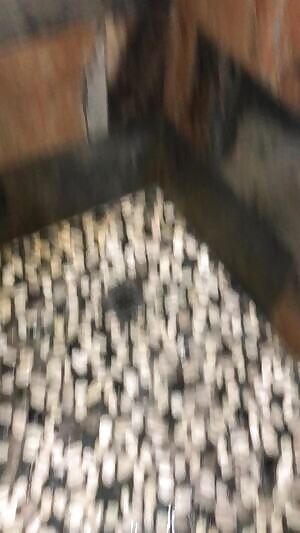 One of my biggest loads 💦