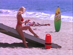 Pamela Anderson may have been famous because of her boobs, but let's not forget she had a very nice pair of legs as well.