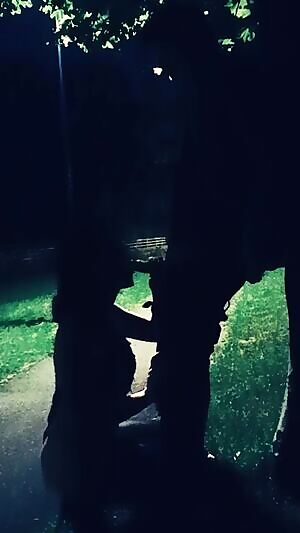 On my knees in the park after dark