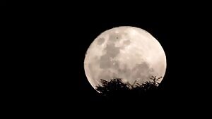 Mary-Louise Parker skinny dipping plot in 'Weeds' S8E4