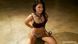 Walking Adriana Chechik Like a Dog