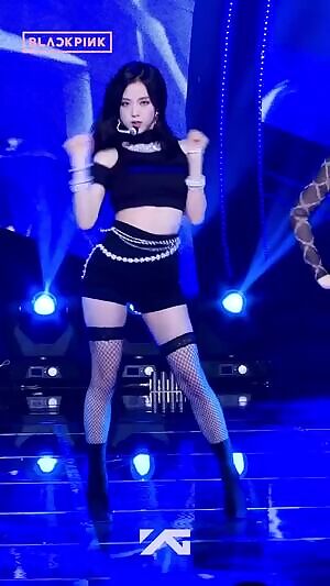 Jisoo Fishnet ZR