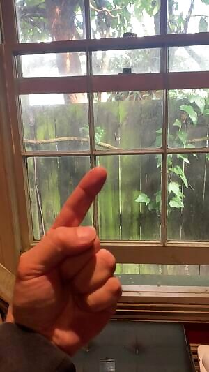 Who has been a good girl? Come and sit on daddy’s lap.