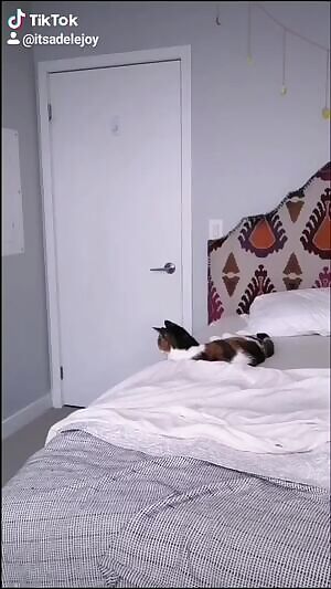 Would you buy a bed that magically gets any girl naked hihi? 😋💦💕