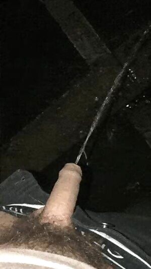 Happy New Year Reddit! Line for club toilet was too long so carpark had to do. First piss of the decade 🍾🥂