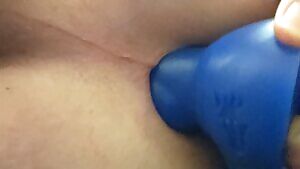 Dexter's knotted e good this morning