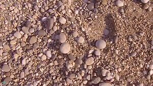 Clover naked on the beach 3